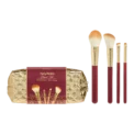 Party Perfect Brush Kit